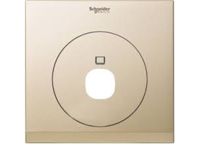 Schneider ULTI  1G TV MODULE COVER, CHAMPAGNE GOLD