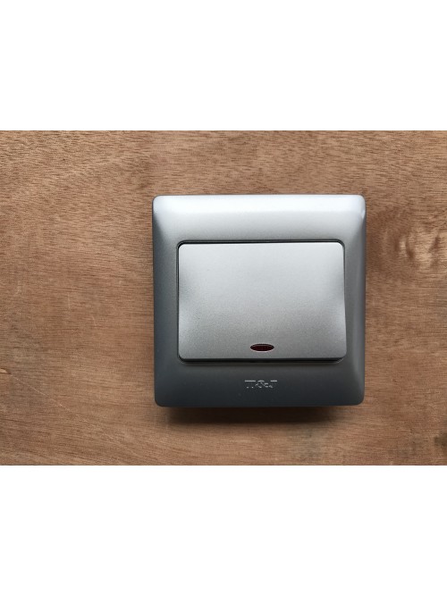 T&J 20A Radiance DP Switch-Gross Silver