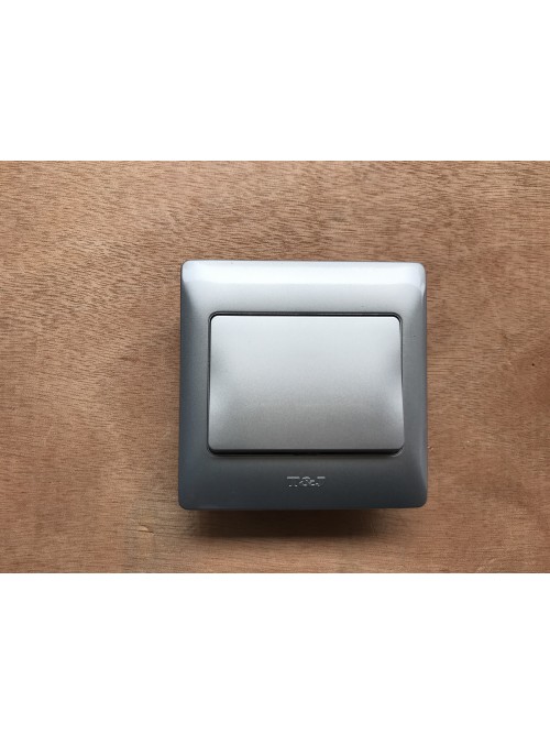 T&J 1G2W Radiance Switch-Gross Silver