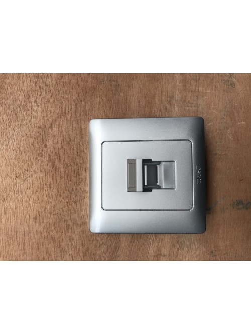 T&J 1G RJ45 Cat6Data Switch Socket-Gross Silver