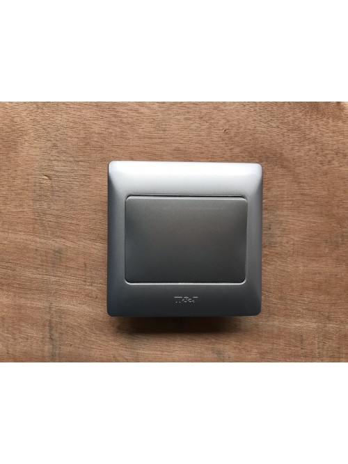 T&J 1G1W Radiance Switch-Gross Silver