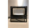 Robus Champion flood light 30w