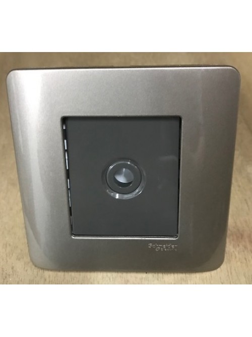 Schneider Zencelo 25A Connection Unit E8431TB Silver Bronze