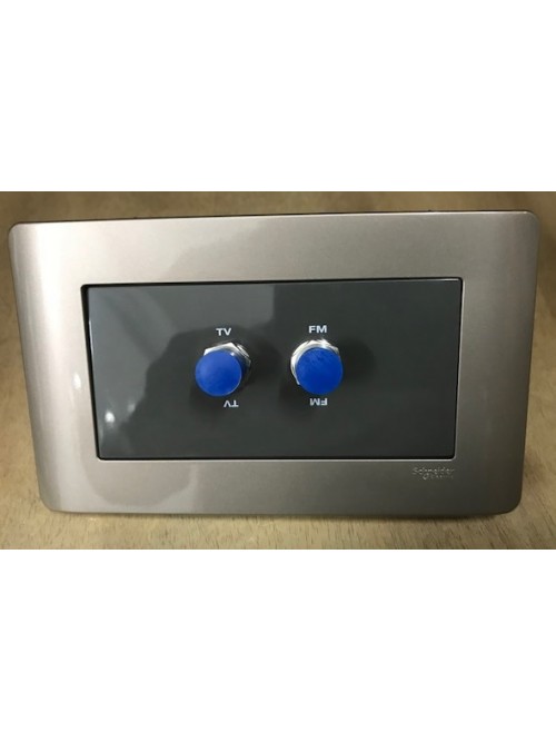 Schneider Zencelo E84T30TFF TV/FM Outlet Silver Bronze