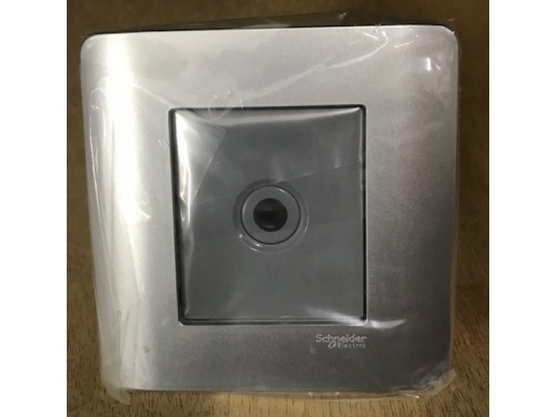 Schneider Zencelo E8431TB 25A Connection Unit Silver Satin