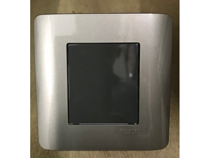 Schneider Zencelo E8430X Blank Plate Silver Bronze