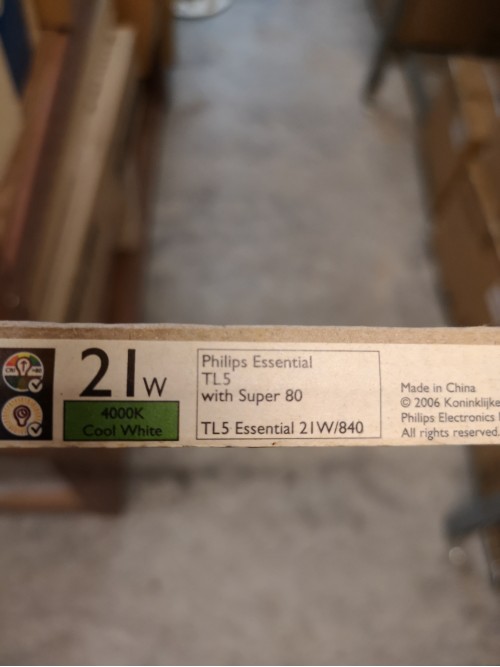 Philips Essential Cool White 21W 