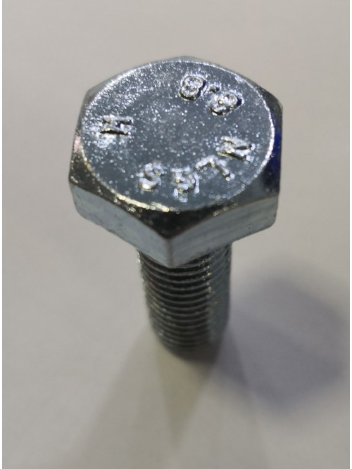 M10x30 Hex Bolt 