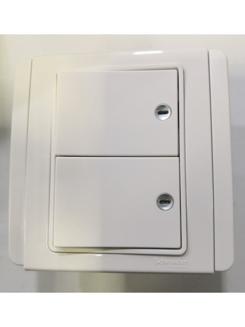 Schneider Neo 2G1W Switch -White (E3032H1_EWWW_G2)