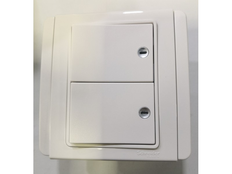 Schneider Neo 2G1W Switch -White (E3032H1_EWWW_G2)
