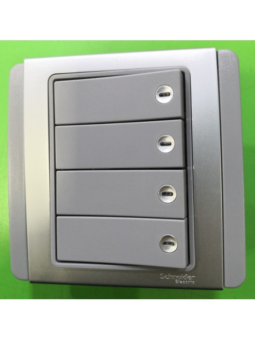 Schneider Neo 4G1W Switch -Grey (E3034H1_EBGD_G2)