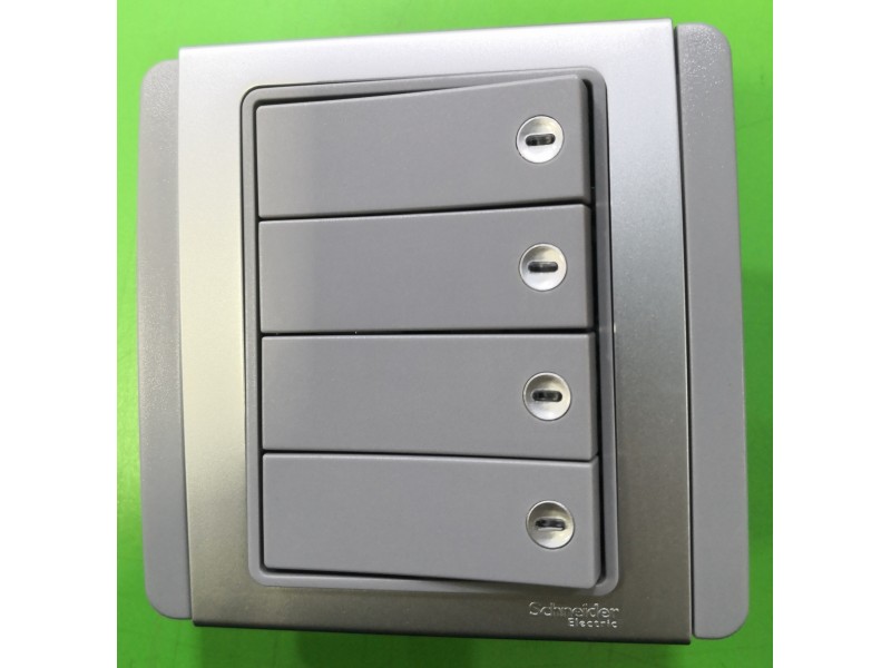 Schneider Neo 4G1W Switch -Grey (E3034H1_EBGD_G2)