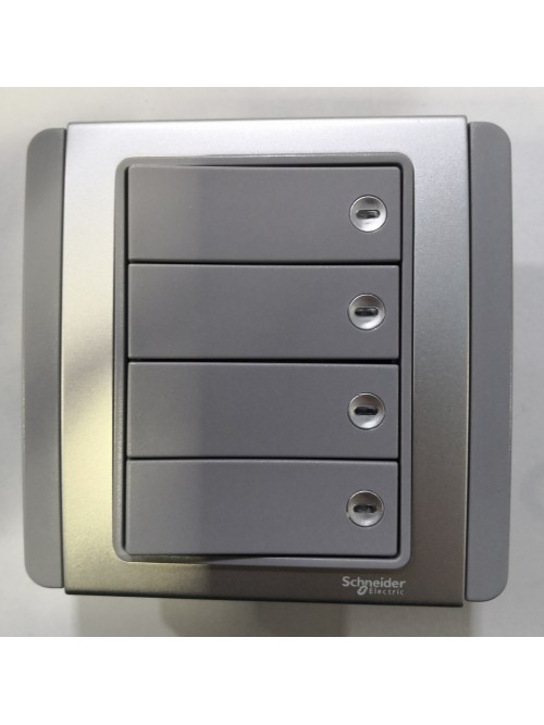 Schneider Neo 4G2W Switch -Grey (E3034H2_EBGS_G2)