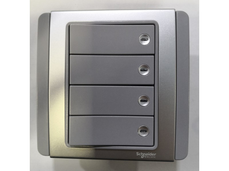 Schneider Neo 4G2W Switch -Grey (E3034H2_EBGS_G2)