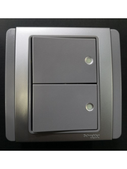 Schneider Neo 2G1W Switch Fluorescent Indicator -Grey (E3032H1_FGGS_G2)