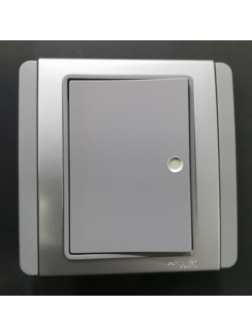 Schneider Neo 1G1W Switch Fluorescent Indicator -Grey (E3031H1_FGGS_G2)