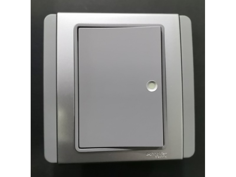 Schneider Neo 1G1W Switch Fluorescent Indicator -Grey (E3031H1_FGGS_G2) Schneider Neo 1G1W Switch Fluorescent Indicator -Grey (E3031H1_FGGS_G2)