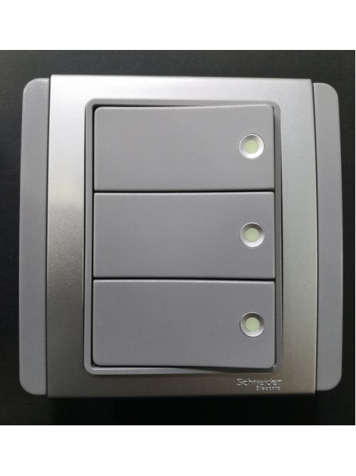 Schneider Neo 3G1W Switch Fluorescent Indicator -Grey (E3033H1_FGGS_G2)