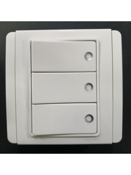 Schneider Neo 3G2W Switch Fluorescent Indicator -White (E3033H2_FWWW)