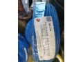 Taisin 6mm PVC Cable, Blue