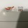 50 x 25 PVC Casing 