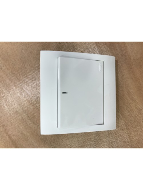 Hager 1G20A DP Stylea W Neon Switch-White