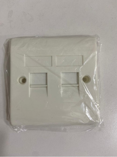 2 Port Faceplate